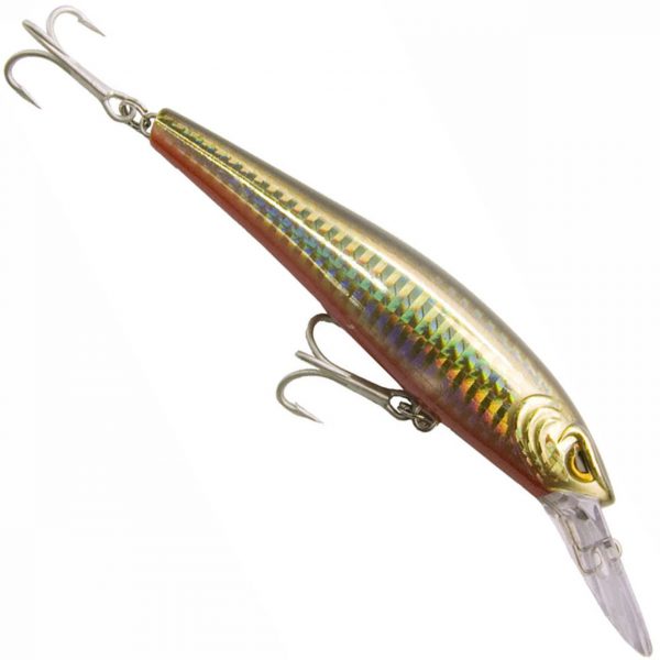 Storm Thunder Barra Lures