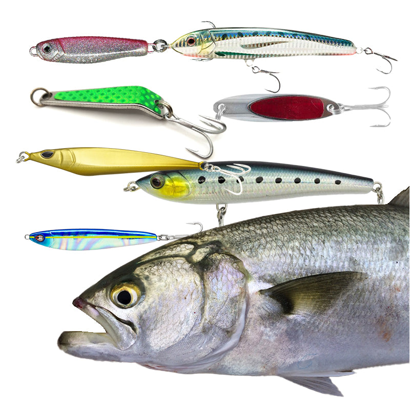 Tailor Lure Pack - Hand Picked