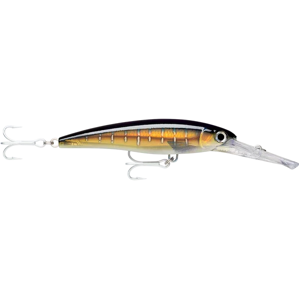 Rapala X-Rap Magnum Divebait Trolling Lure 16cm - XRMAG30