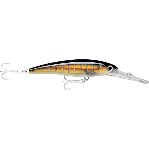 Rapala X-Rap Magnum Divebait Trolling Lure 16cm - XRMAG30