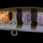 Prism Gill
