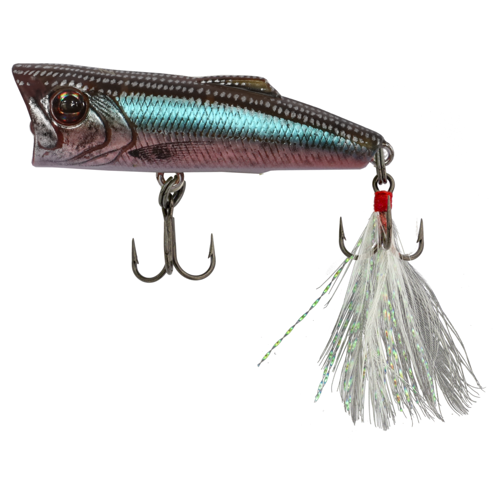 Zerek Popparazzi 50mm