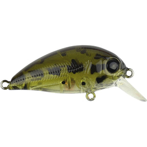 Atomic Hardz Crank 38mm Mid Diver Hard Body Lure by Atomic at Addict Tackle