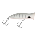 Halco Roosta Surface Popper 80mm by Halco at Addict Tackle