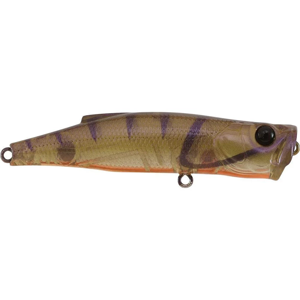 Atomic Hardz Pop 75mm Floating Popper by Atomic at Addict Tackle