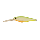 Berkley Pro Tech Bazz Bait Fishing Lure 80mm by Berkley at Addict Tackle