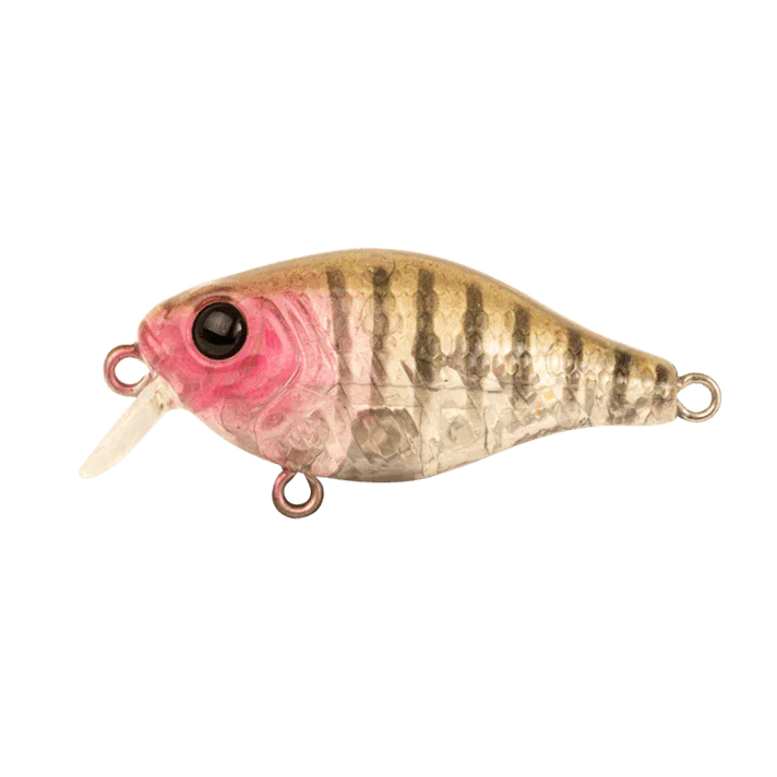 Berkley Pro Tech Brimz Deep Fishing Lure 38mm by Berkley at Addict Tackle