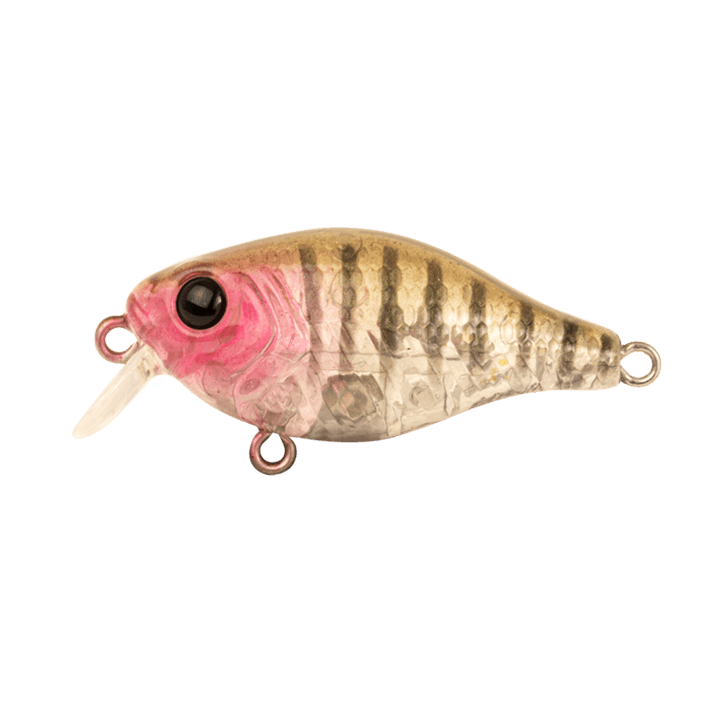 Berkley Pro Tech Brimz Deep Fishing Lure 38mm by Berkley at Addict Tackle