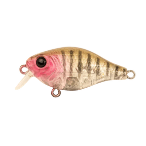 Berkley Pro Tech Brimz Shallow Fishing Lure 38mm by Berkley at Addict Tackle