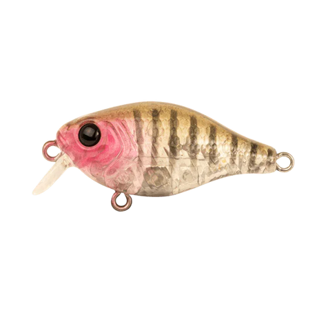 Berkley Pro Tech Brimz Shallow Fishing Lure 38mm by Berkley at Addict Tackle