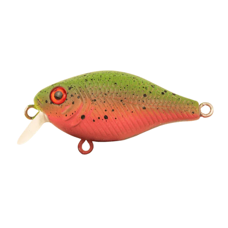 Berkley Pro Tech Brimz Shallow Fishing Lure 38mm by Berkley at Addict Tackle