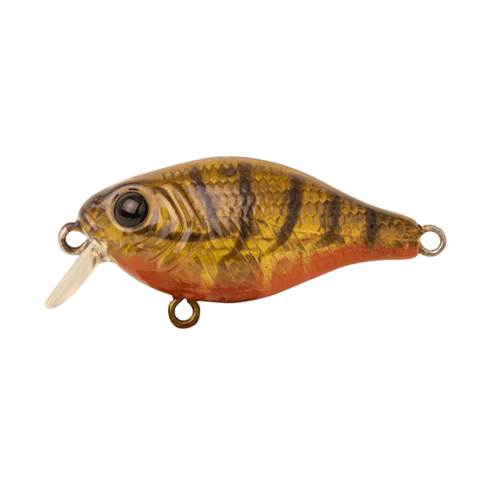 Berkley Pro Tech Brimz Shallow Fishing Lure 38mm by Berkley at Addict Tackle