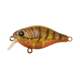 Berkley Pro Tech Brimz Shallow Fishing Lure 38mm by Berkley at Addict Tackle
