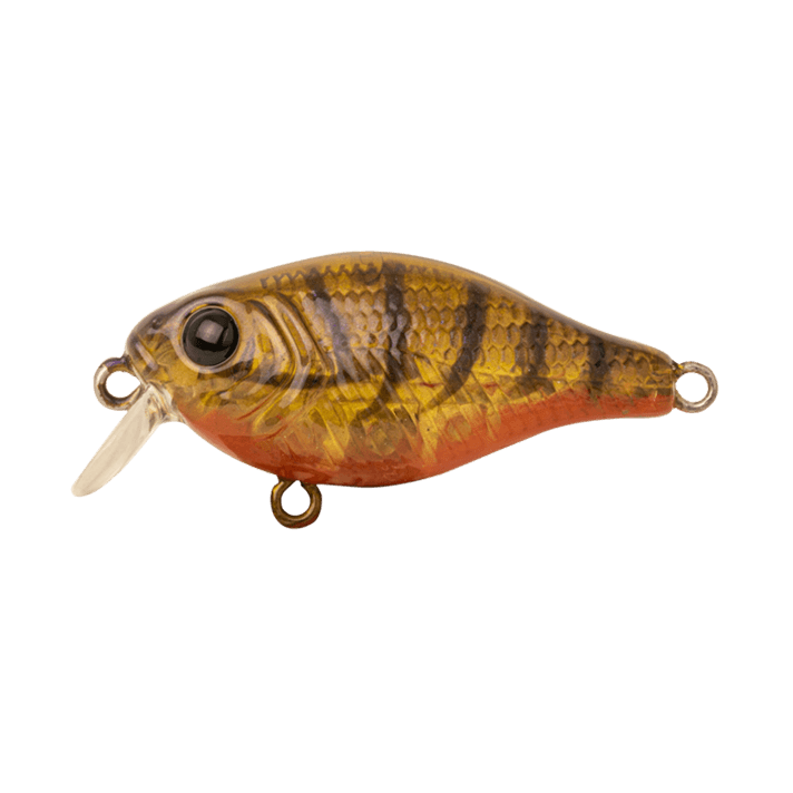 Berkley Pro Tech Brimz Shallow Fishing Lure 38mm by Berkley at Addict Tackle