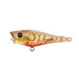 Berkley Pro Tech Pop Fishing Lure 50mm by Berkley at Addict Tackle