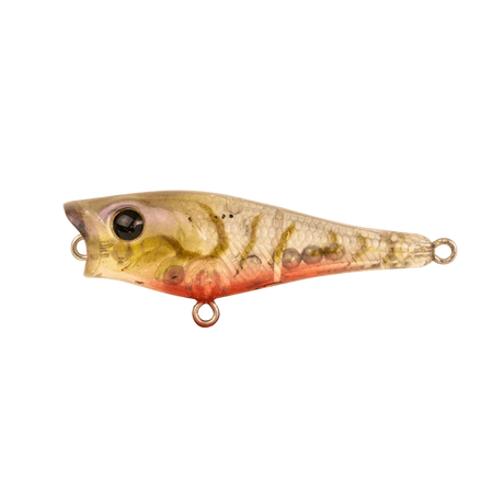 Berkley Pro Tech Pop Fishing Lure 50mm by Berkley at Addict Tackle