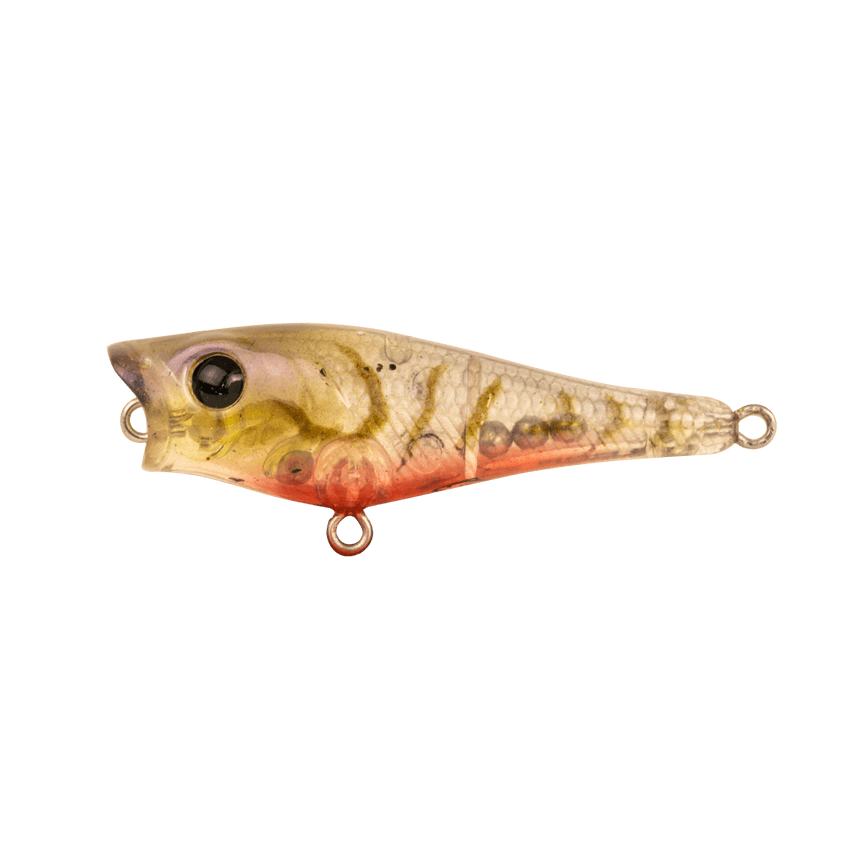 Berkley Pro Tech Pop Fishing Lure 50mm by Berkley at Addict Tackle