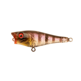 Berkley Pro Tech Pop Fishing Lure 50mm by Berkley at Addict Tackle