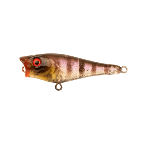Berkley Pro Tech Pop Fishing Lure 50mm by Berkley at Addict Tackle