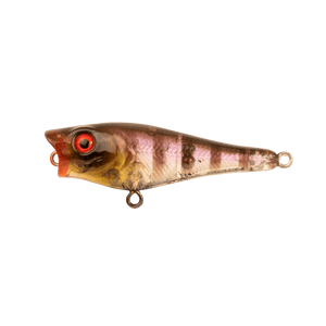 Berkley Pro Tech Pop Fishing Lure 50mm by Berkley at Addict Tackle