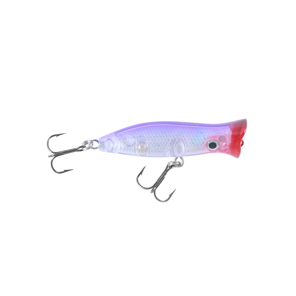 Halco Roosta Surface Popper 60mm by Halco at Addict Tackle