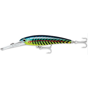 Rapala X-Rap Magnum Trolling Lure 14cm by Rapala at Addict Tackle