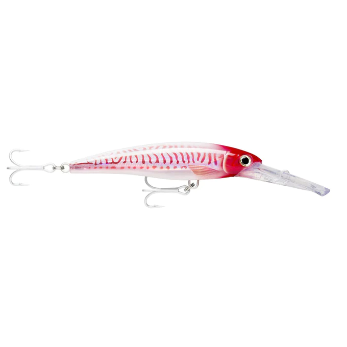 Rapala X-Rap Magnum Trolling Lure 14cm by Rapala at Addict Tackle