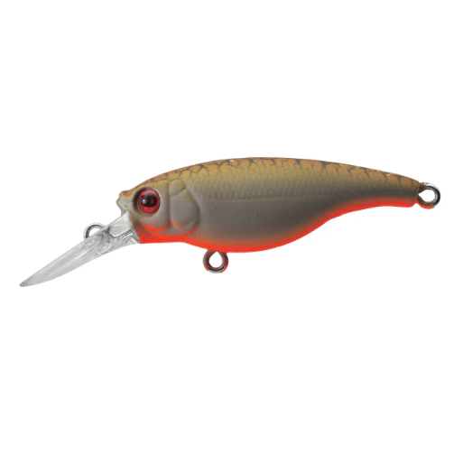 Ecogear SX-48F Hard Body Lure 48mm by Ecogear at Addict Tackle