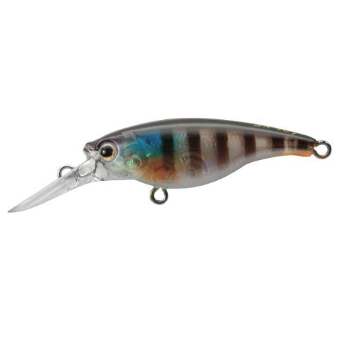 Ecogear SX-48F Hard Body Lure 48mm by Ecogear at Addict Tackle