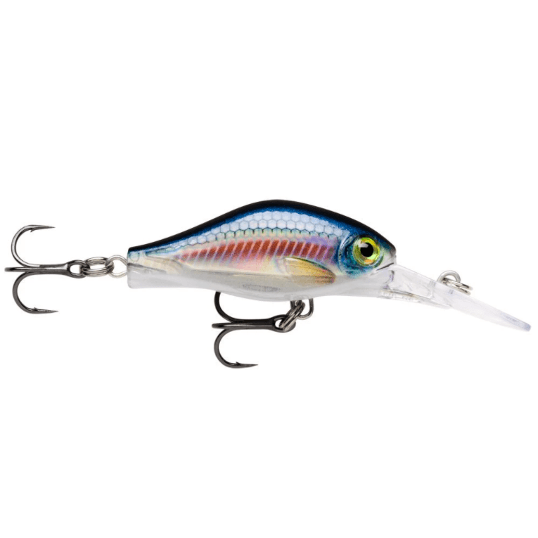 Rapala Shadow Rap Fat Jack Jerkbait 4cm by Rapala at Addict Tackle
