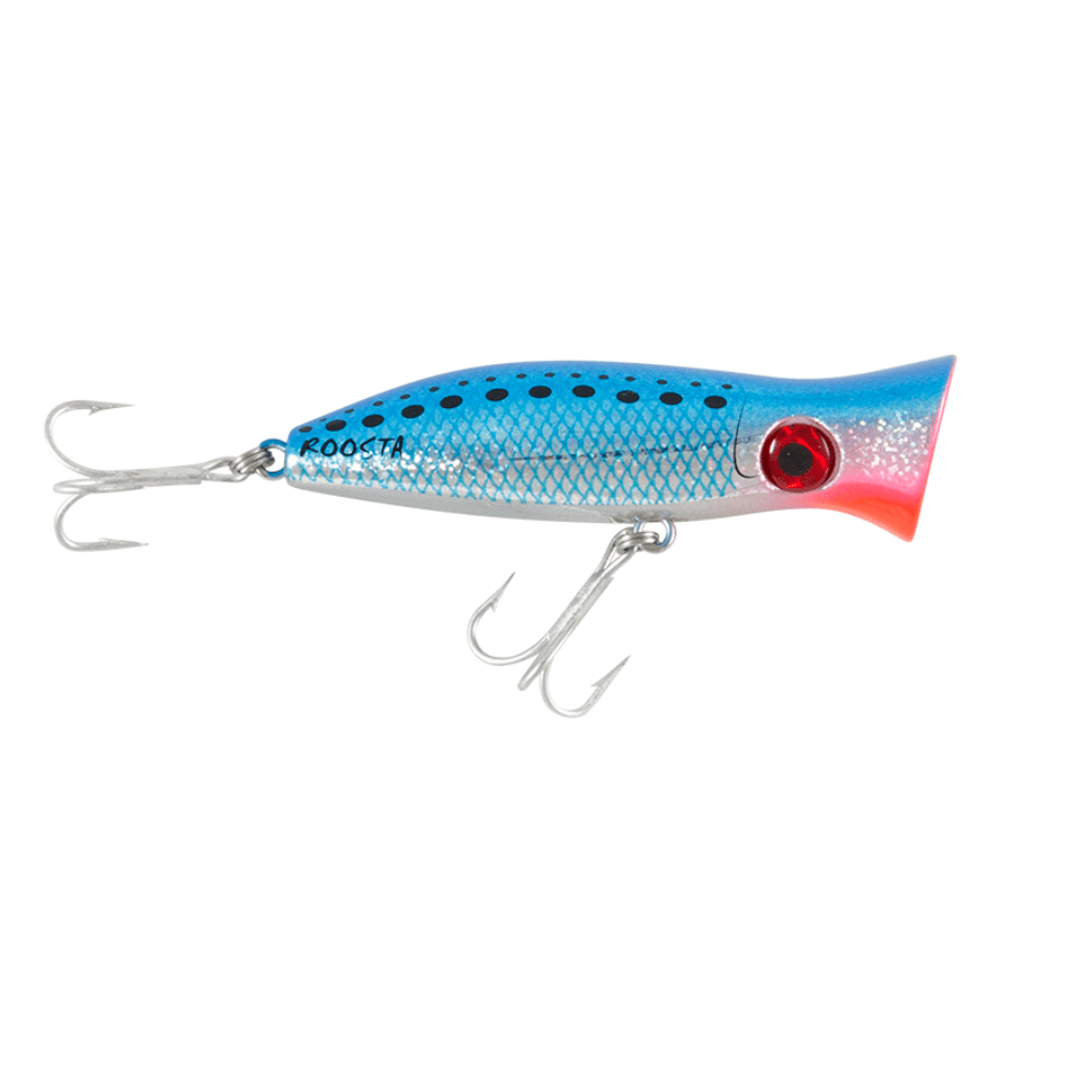Halco Roosta Surface Popper 80mm by Halco at Addict Tackle