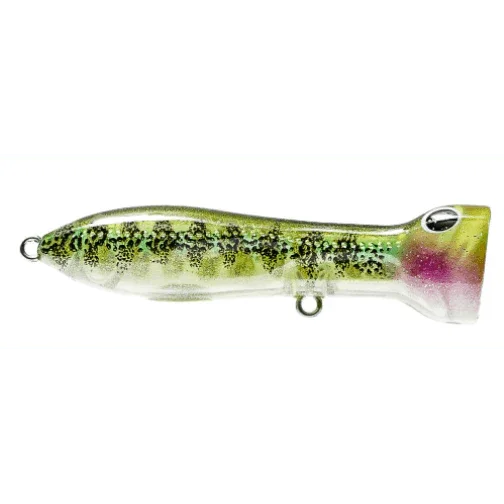 Nomad Design Chug Norris Popper 95mm by Nomad Design at Addict Tackle