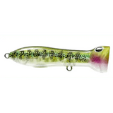 Nomad Design Chug Norris Popper 95mm by Nomad Design at Addict Tackle