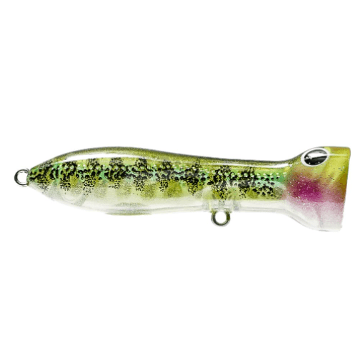 Nomad Design Chug Norris Popper 95mm by Nomad Design at Addict Tackle