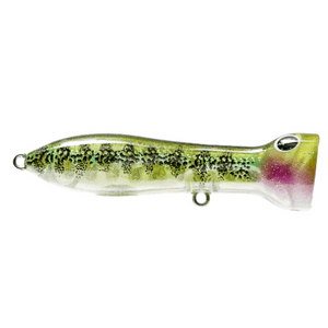 Nomad Design Chug Norris Popper 95mm by Nomad Design at Addict Tackle