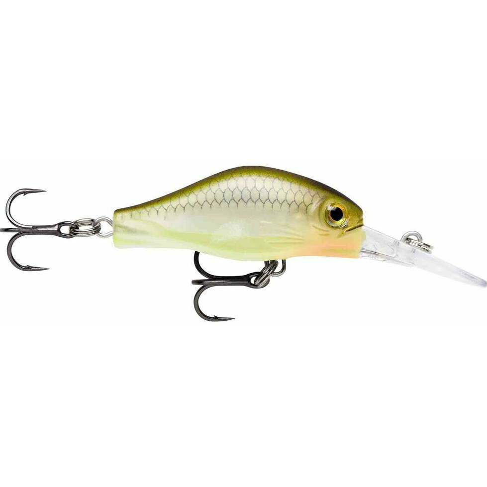 Rapala Shadow Rap Fat Jack Jerkbait 4cm by Rapala at Addict Tackle