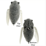 Atomic Hardz Cicada 47 Surface Walker - Addict Tackle