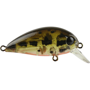Atomic Hardz Crank 38mm Mid Diver Hard Body Lure by Atomic at Addict Tackle
