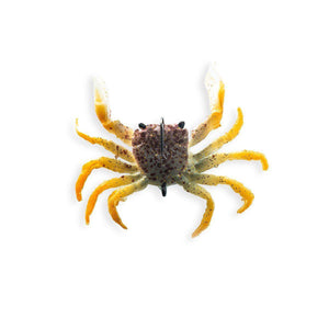 Chasebaits Crusty Crab 50mm by River2Sea at Addict Tackle