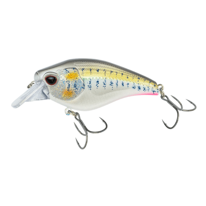 Nomad Design Atlas Crankbait Fishing Lure 55mm - Addict Tackle