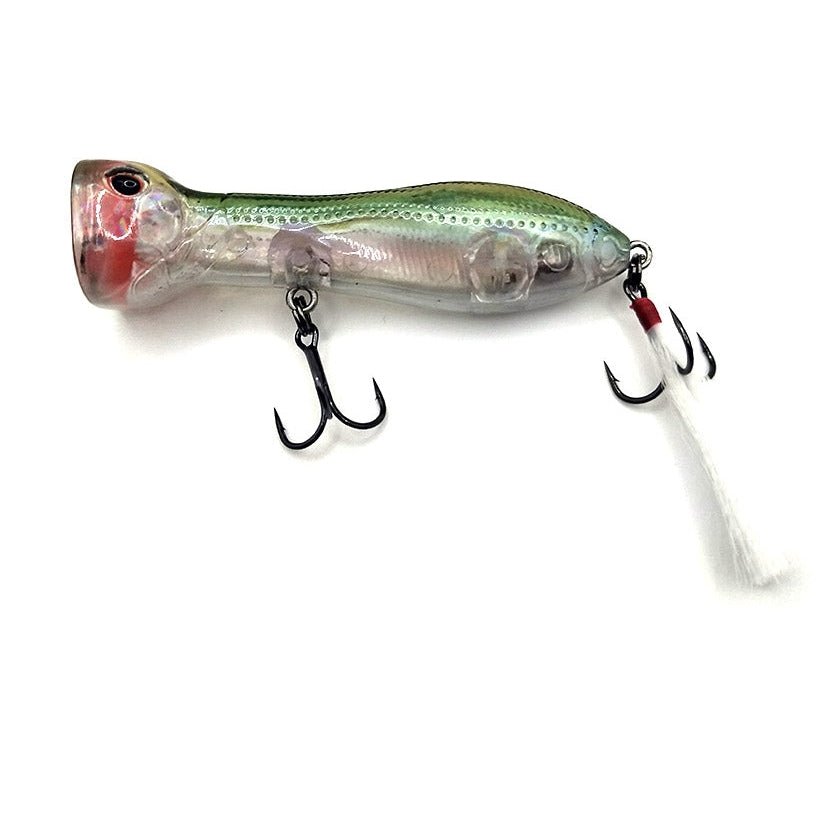 Nomad Design Chug Norris Popper 72mm - Addict Tackle