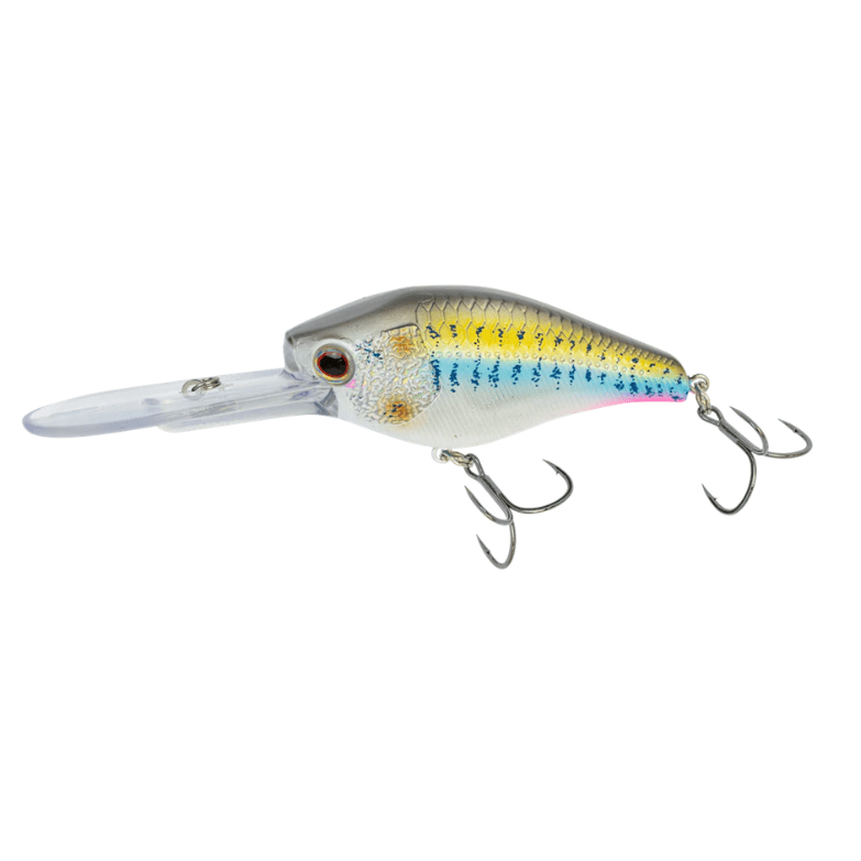 Nomad Design D - Trak Crankbait Fishing Lure 80mm - Addict Tackle