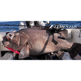 Oceans Legacy Elementus Deep Spin Jig Rod by Oceans Legacy at Addict Tackle