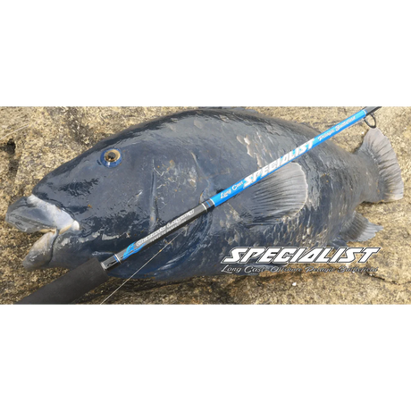 Oceans Legacy Specialist Spin Fishing Rod by Oceans Legacy at Addict Tackle