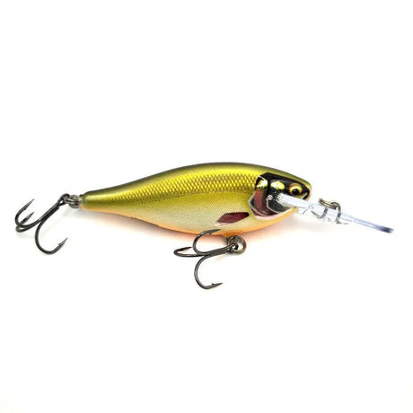 Rapala Shad Rap Elite 75mm - SRE75 - Addict Tackle