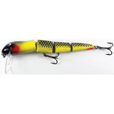 Taylor Made Rattling Reptile Surface Lure 200mm by Taylor Made at Addict Tackle