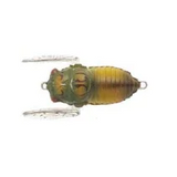 Tiemco Soft Shell Cicada Floating Hard Body Lure 40mm by Tiemco at Addict Tackle