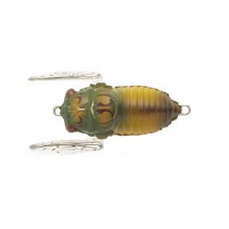 Tiemco Soft Shell Cicada Floating Hard Body Lure 40mm by Tiemco at Addict Tackle