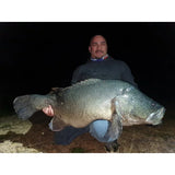 Live Fibre Venom 7' 8kg 1pc Baitcast Rod - Addict Tackle