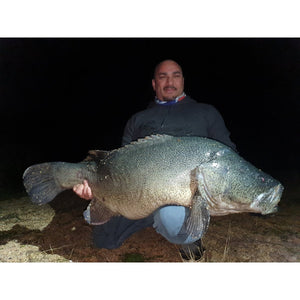 Live Fibre Venom 7' 8kg 1pc Baitcast Rod - Addict Tackle